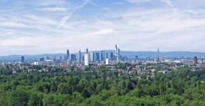 city forest
