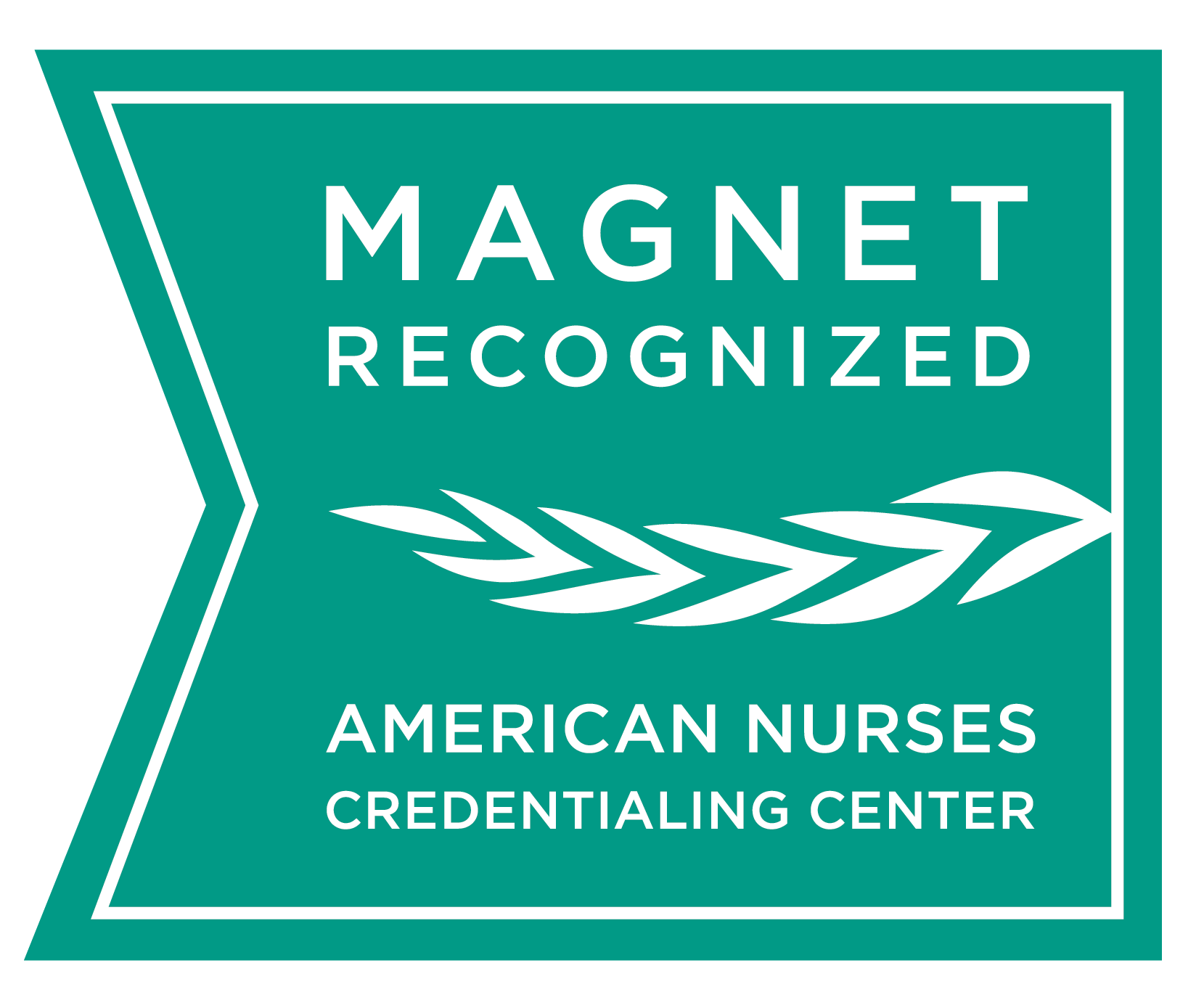 Image showing magnet recognition certificate