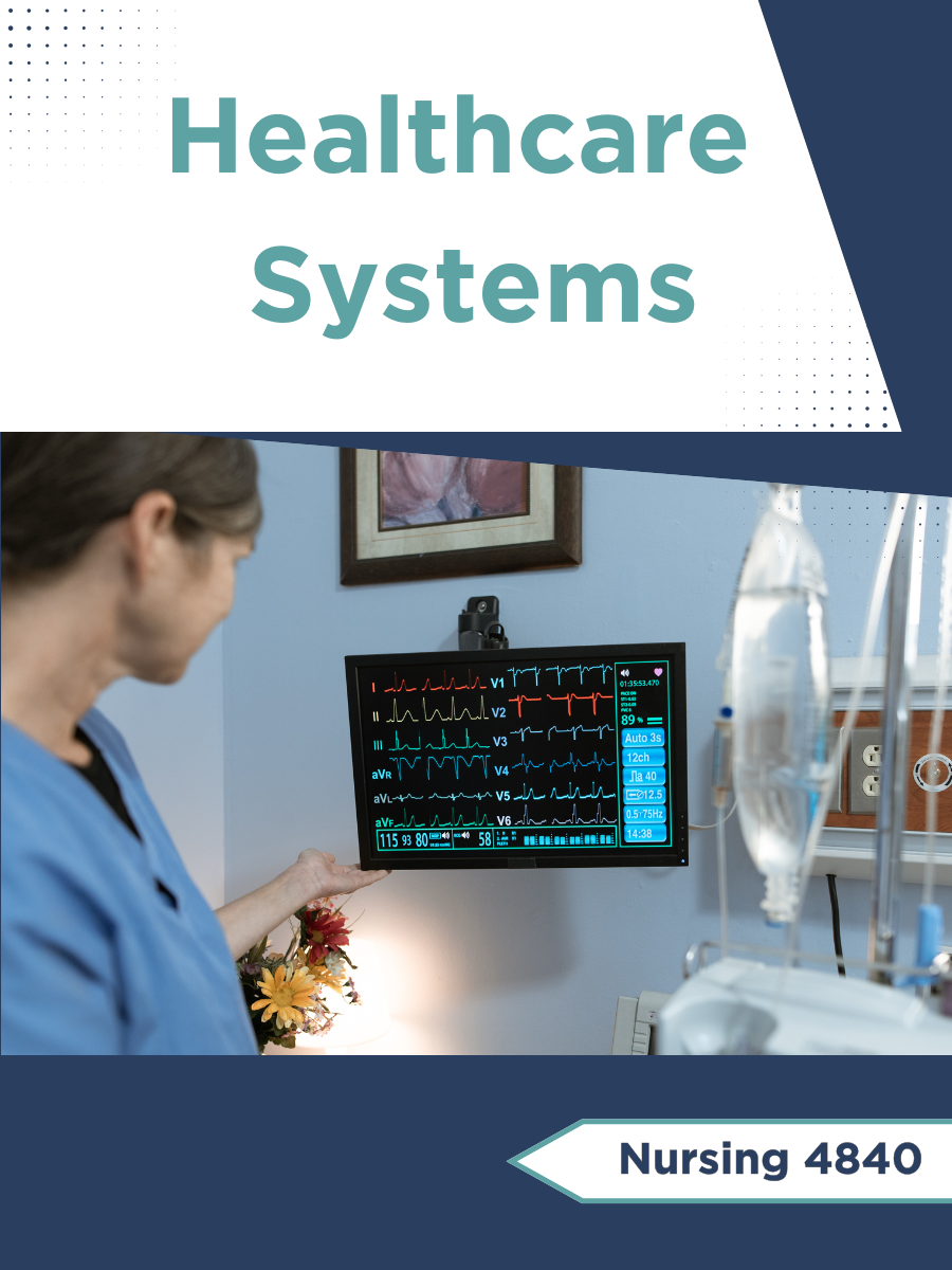 Cover image for Healthcare Systems