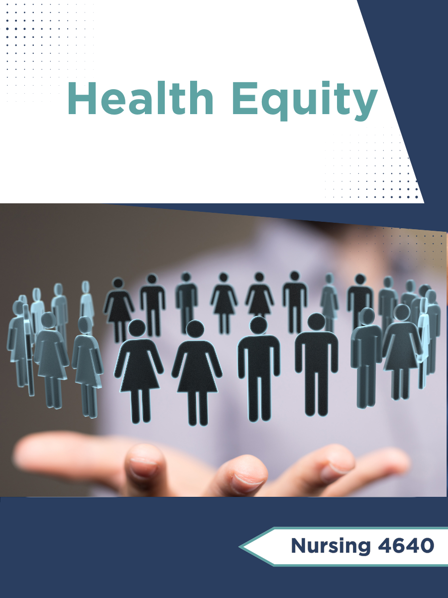 Cover image for Health Equity