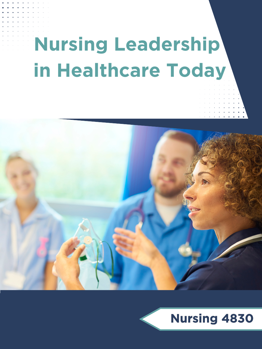 Cover image for Nursing Leadership in Healthcare Today